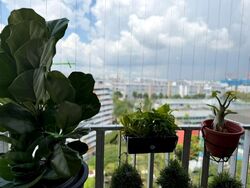 1 Canberra (D27), Condominium #605459671